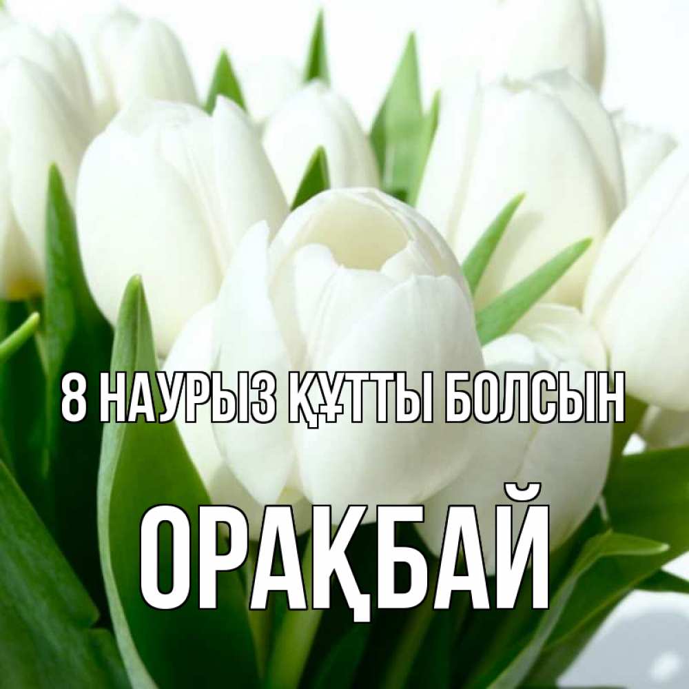 Күн сайын ашық хат с именем, ОРАҚБАЙ 8 наурыз құтты болсын цветы Онлайн тегін жүктеп алу тілектері бар керемет карта 