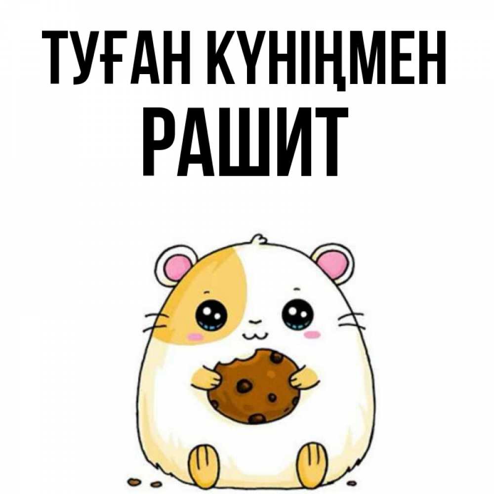 Күн сайын ашық хат с именем, РАШИТ Туған күніңмен с днюхой Онлайн тегін жүктеп алу тілектері бар керемет карта 