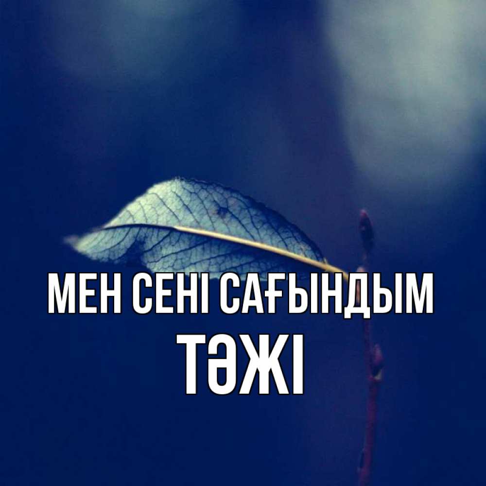 Күн сайын ашық хат с именем, ТӘЖІ Мен сені сағындым одна ветка 1 Онлайн тегін жүктеп алу тілектері бар керемет карта 