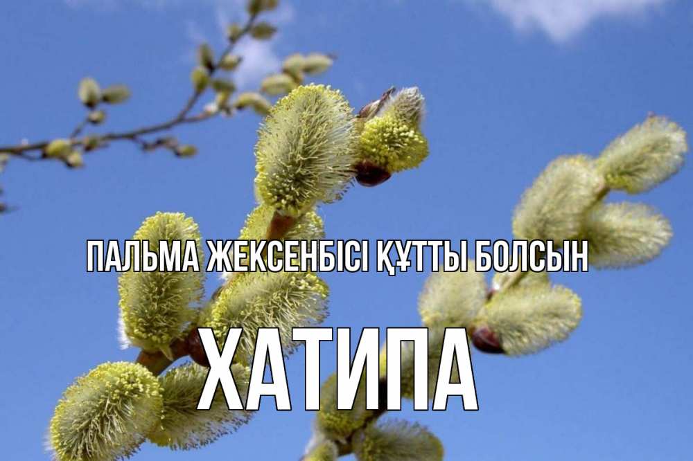Күн сайын ашық хат с именем, ХАТИПА Пальма жексенбісі құтты болсын верба Онлайн тегін жүктеп алу тілектері бар керемет карта 