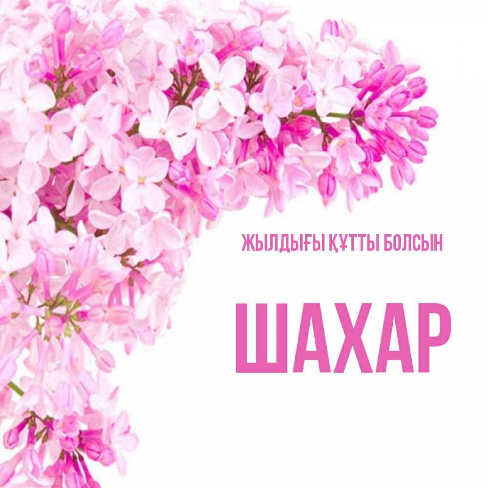 Күн сайын ашық хат с именем, ШАХАР Жылдығы құтты болсын Сирень на белом фоне Онлайн тегін жүктеп алу тілектері бар керемет карта 