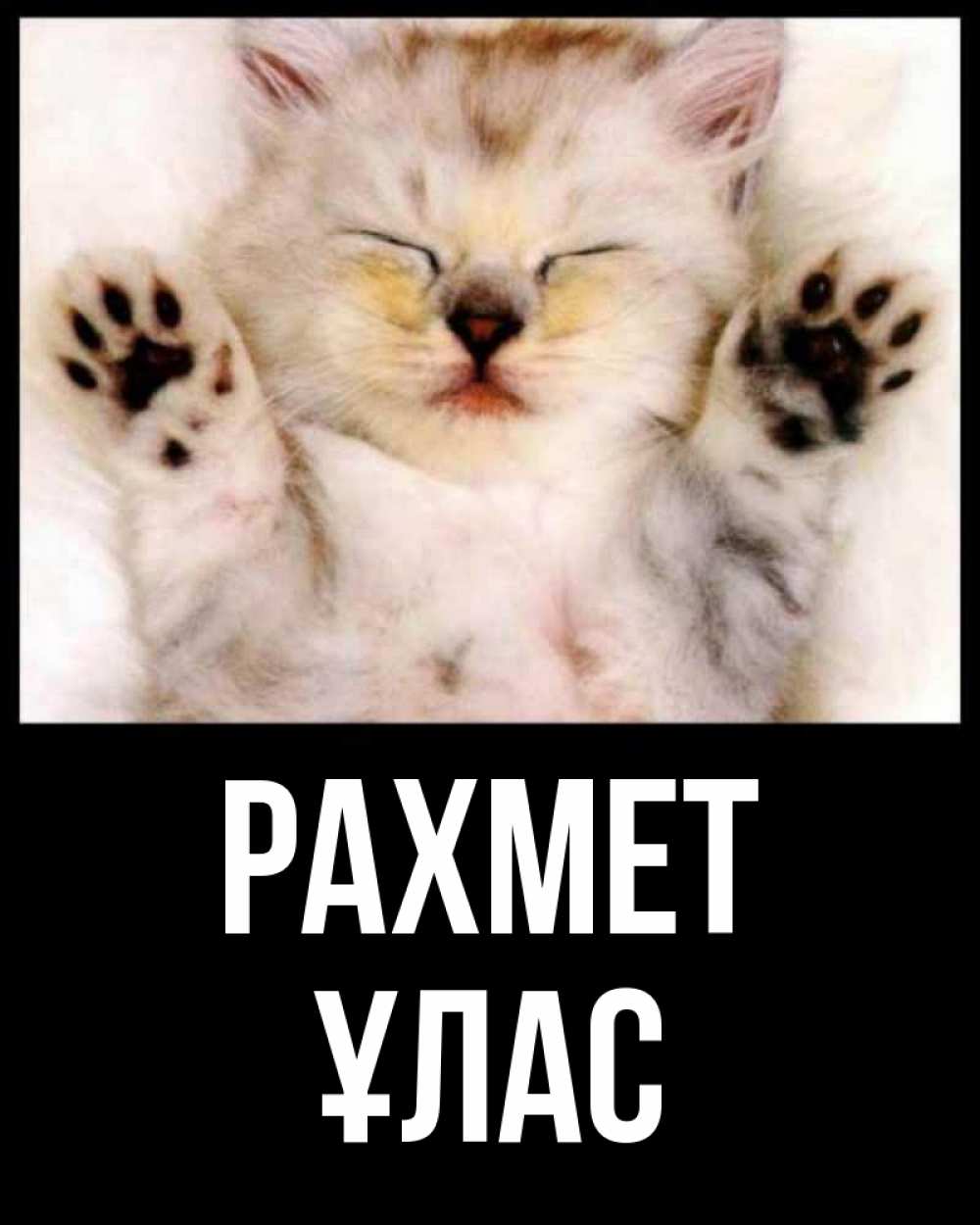 Күн сайын ашық хат с именем, ҰЛАС рахмет маленький котенок Онлайн тегін жүктеп алу тілектері бар керемет карта 