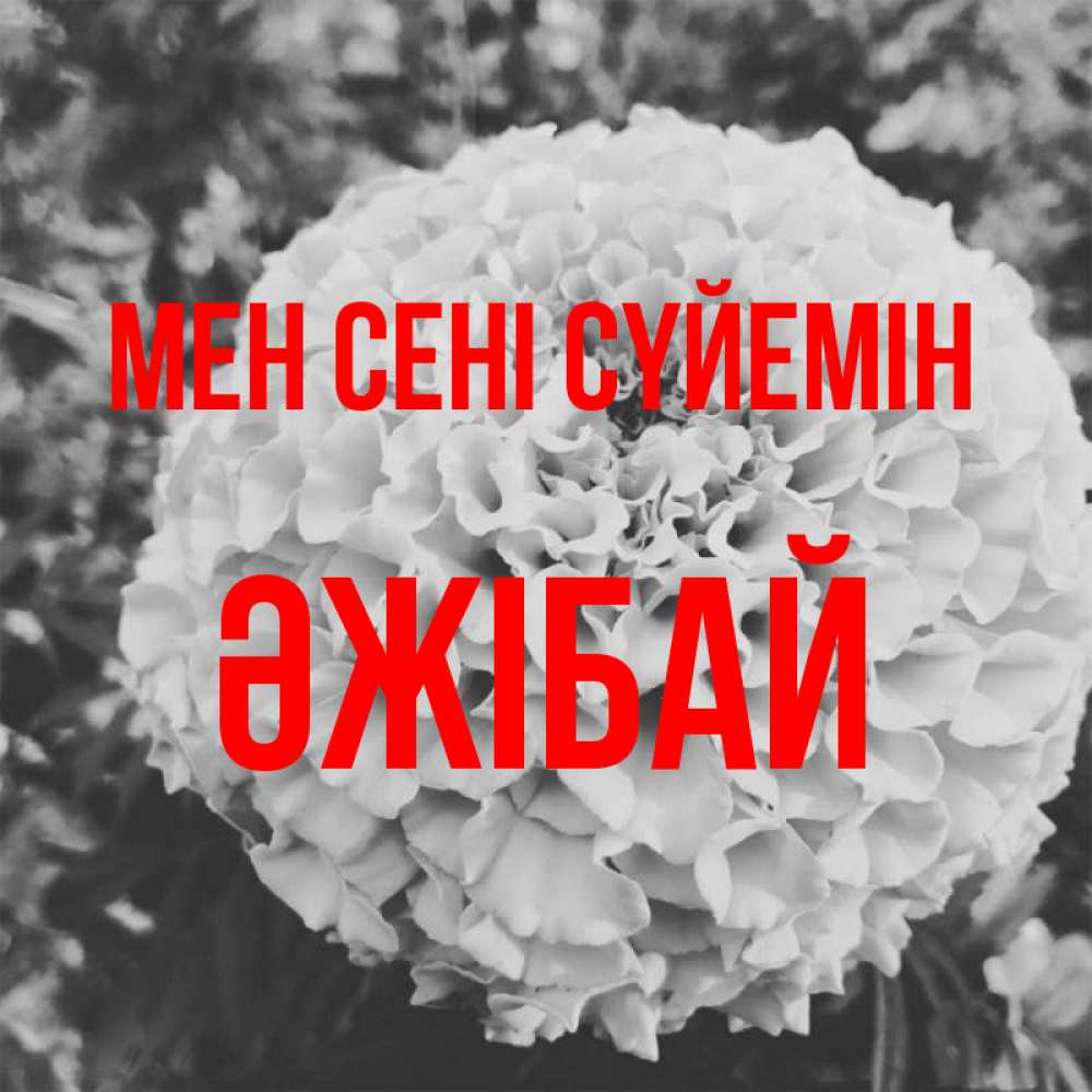 Күн сайын ашық хат с именем, Әжібай Мен сені сүйемін подпись Онлайн тегін жүктеп алу тілектері бар керемет карта 