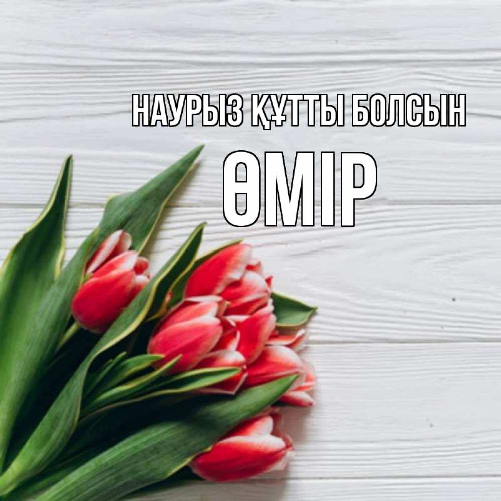 Күн сайын ашық хат с именем, ӨМІР Наурыз құтты болсын весна 2 Онлайн тегін жүктеп алу тілектері бар керемет карта 
