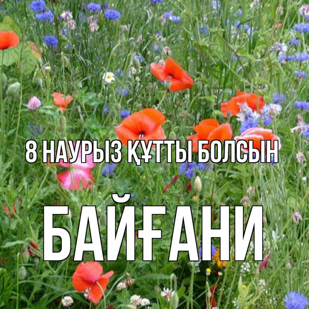 Күн сайын ашық хат с именем, Байғани 8 наурыз құтты болсын международный женский день 4 Онлайн тегін жүктеп алу тілектері бар керемет карта 