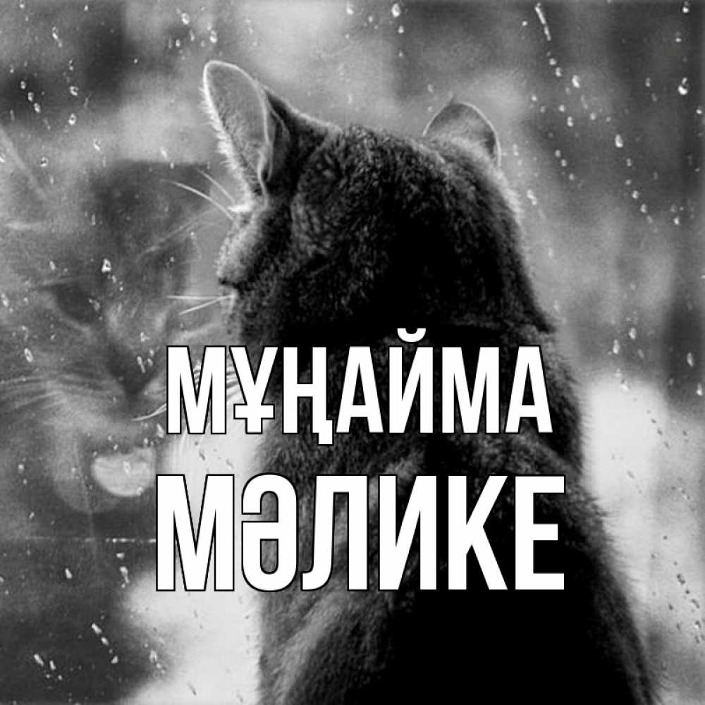 Күн сайын ашық хат с именем, МӘЛИКЕ Мұңайма отражение кота 1 Онлайн тегін жүктеп алу тілектері бар керемет карта 