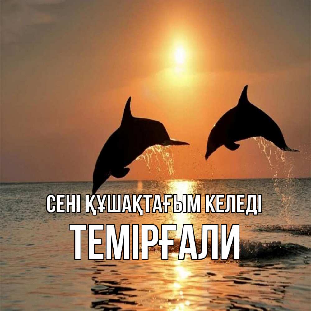 Күн сайын ашық хат с именем, ТЕМІРҒАЛИ сені құшақтағым келеді рыбы на закате Онлайн тегін жүктеп алу тілектері бар керемет карта 