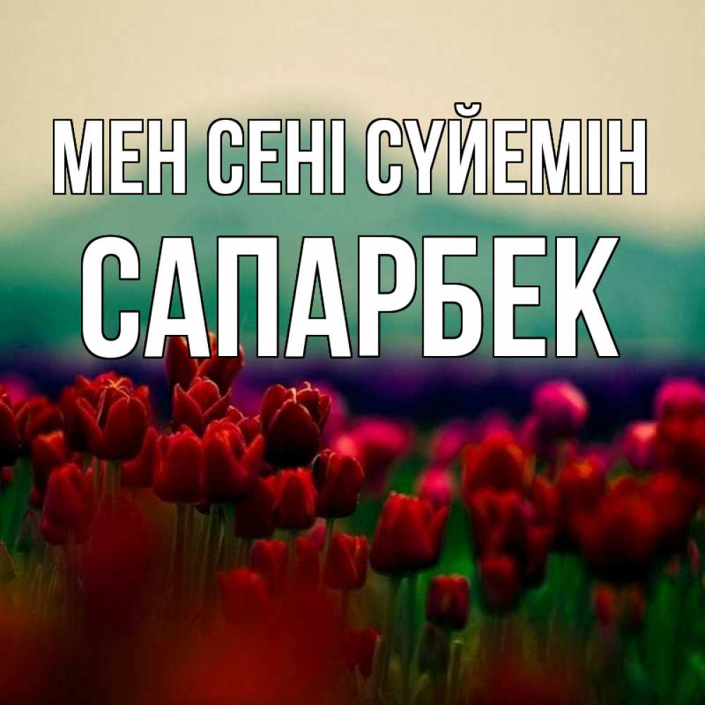 Күн сайын ашық хат с именем, САПАРБЕК Мен сені сүйемін тюльпаны 4 Онлайн тегін жүктеп алу тілектері бар керемет карта 