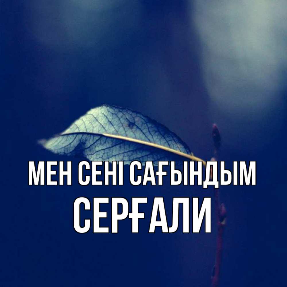 Күн сайын ашық хат с именем, СЕРҒАЛИ Мен сені сағындым одна ветка 1 Онлайн тегін жүктеп алу тілектері бар керемет карта 
