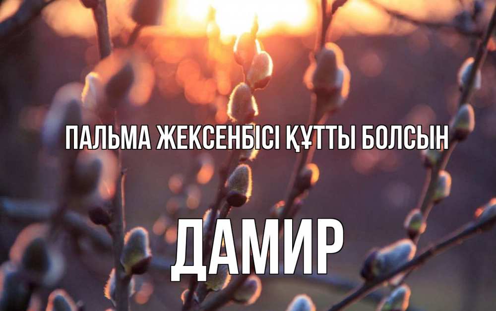 Картинка Пальма жексенбісі құтты болсын, Дамир