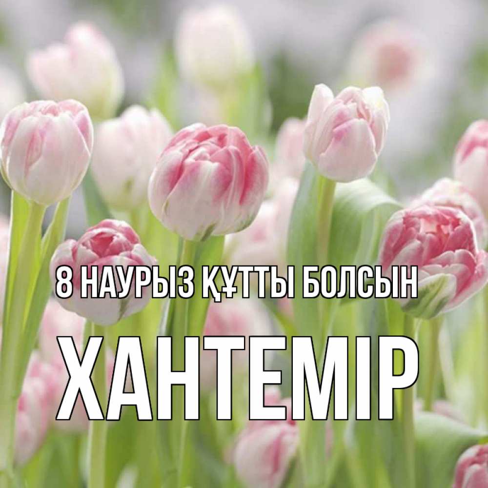 Күн сайын ашық хат с именем, ХАНТЕМІР 8 наурыз құтты болсын цветы Онлайн тегін жүктеп алу тілектері бар керемет карта 