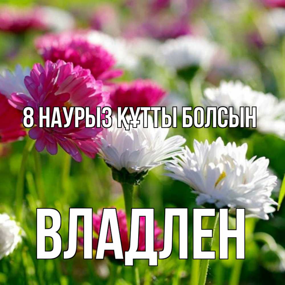 Күн сайын ашық хат с именем, Владлен 8 наурыз құтты болсын международный женский день 1 Онлайн тегін жүктеп алу тілектері бар керемет карта 