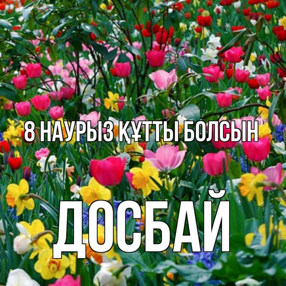 Күн сайын ашық хат с именем, Досбай 8 наурыз құтты болсын с международным женским днем поздравления для женщины Онлайн тегін жүктеп алу тілектері бар керемет карта 