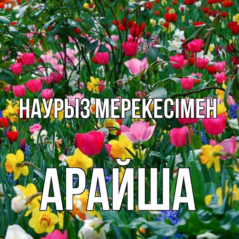 Күн сайын ашық хат с именем, АРАЙША Наурыз мерекесімен с наурызом праздником весны поздравления для женщины Онлайн тегін жүктеп алу тілектері бар керемет карта 