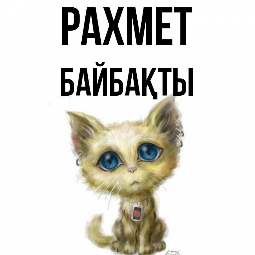 Күн сайын ашық хат с именем, Байбақты рахмет рисованный кот благодарит вас Онлайн тегін жүктеп алу тілектері бар керемет карта 