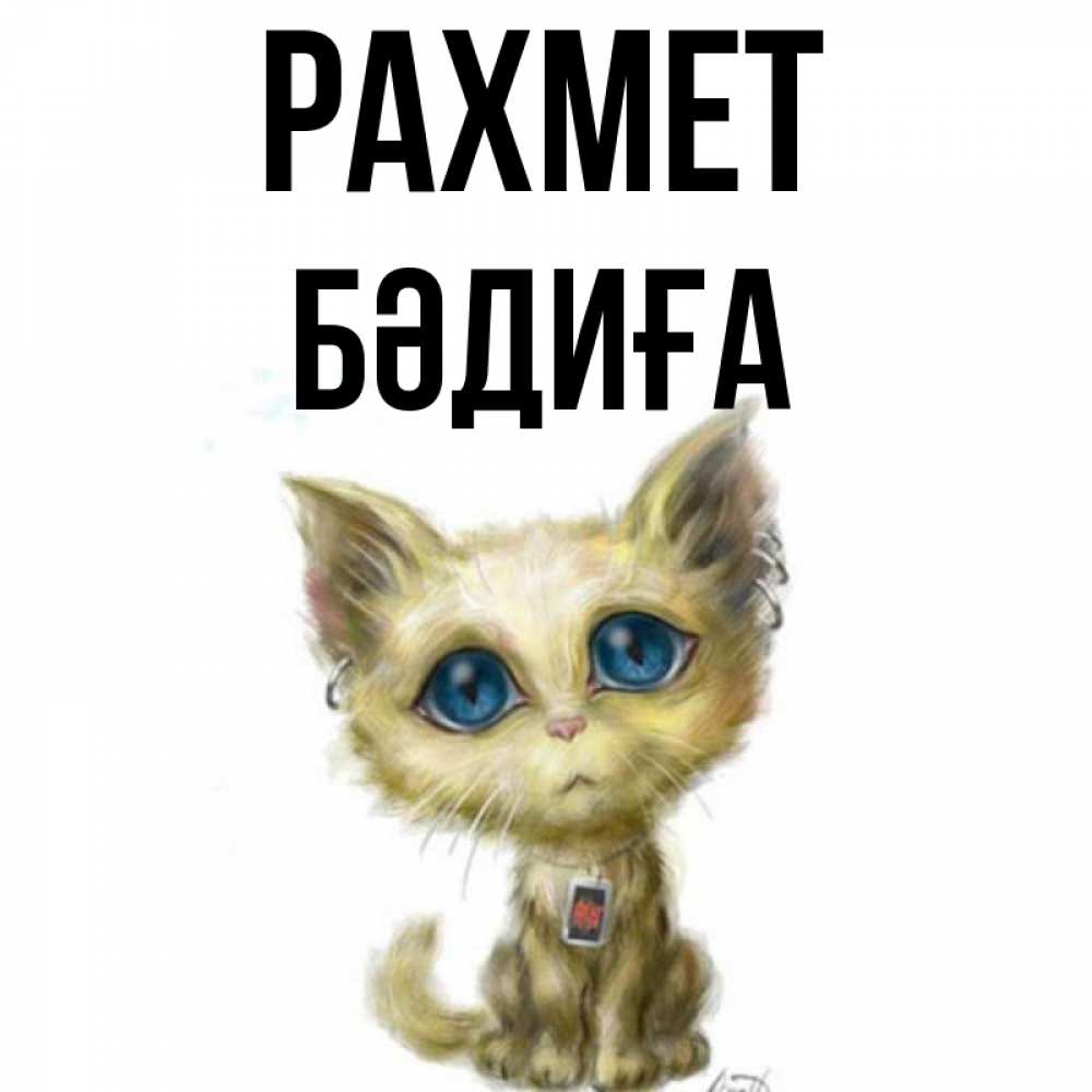 Күн сайын ашық хат с именем, БӘДИҒА рахмет рисованный кот благодарит вас Онлайн тегін жүктеп алу тілектері бар керемет карта 