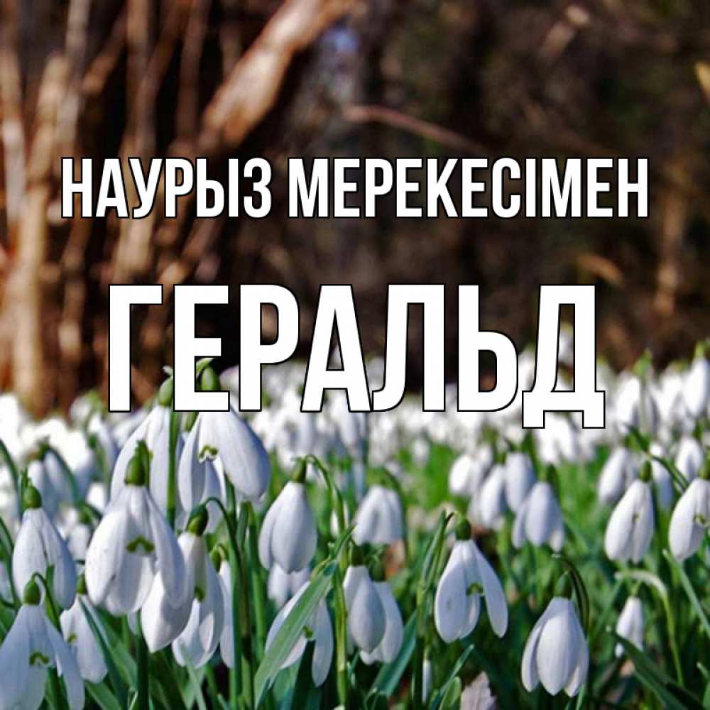 Күн сайын ашық хат с именем, Геральд Наурыз мерекесімен с подснежниками 1 Онлайн тегін жүктеп алу тілектері бар керемет карта 