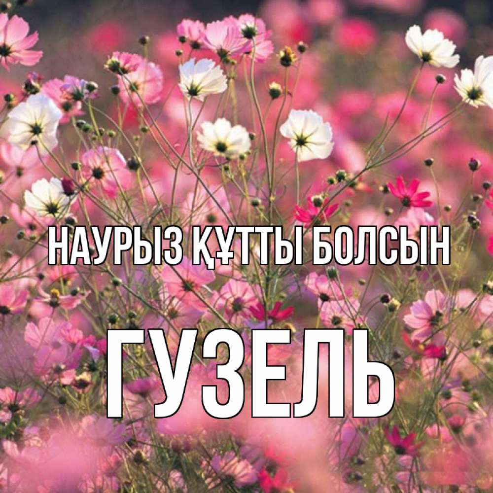 Күн сайын ашық хат с именем, Гузель Наурыз құтты болсын красиво 1 Онлайн тегін жүктеп алу тілектері бар керемет карта 