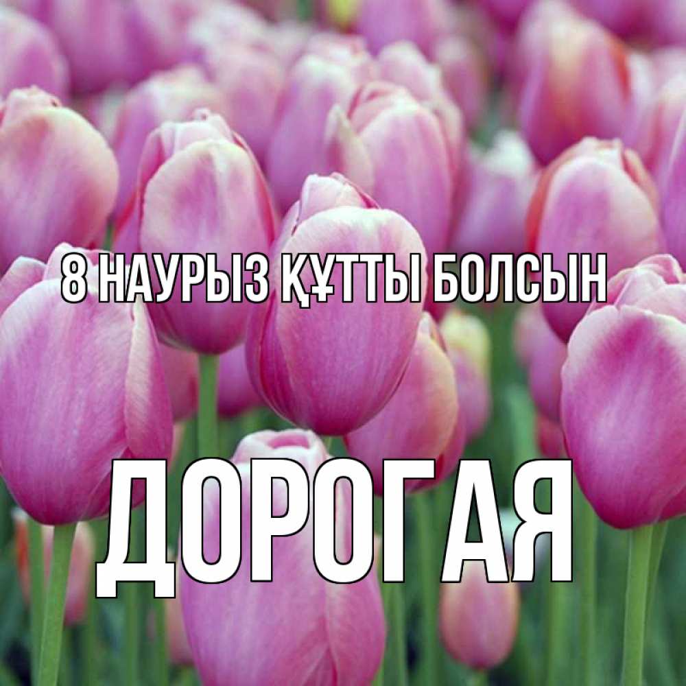 Күн сайын ашық хат с именем, Дорогая 8 наурыз құтты болсын на международный женский день 3 Онлайн тегін жүктеп алу тілектері бар керемет карта 