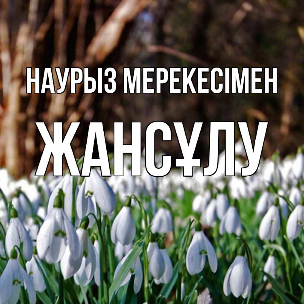 Күн сайын ашық хат с именем, Жансұлу Наурыз мерекесімен с подснежниками 1 Онлайн тегін жүктеп алу тілектері бар керемет карта 