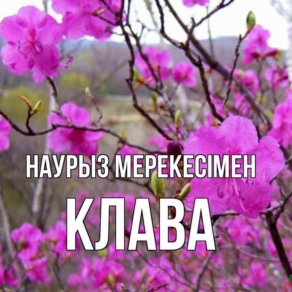 Күн сайын ашық хат с именем, Клава Наурыз мерекесімен праздник весны наурыз Онлайн тегін жүктеп алу тілектері бар керемет карта 
