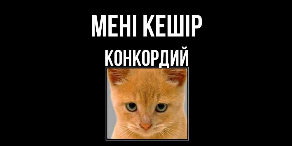 Күн сайын ашық хат с именем, Конкордий Мені кешір рыжий грустный кот просит прощения Онлайн тегін жүктеп алу тілектері бар керемет карта 