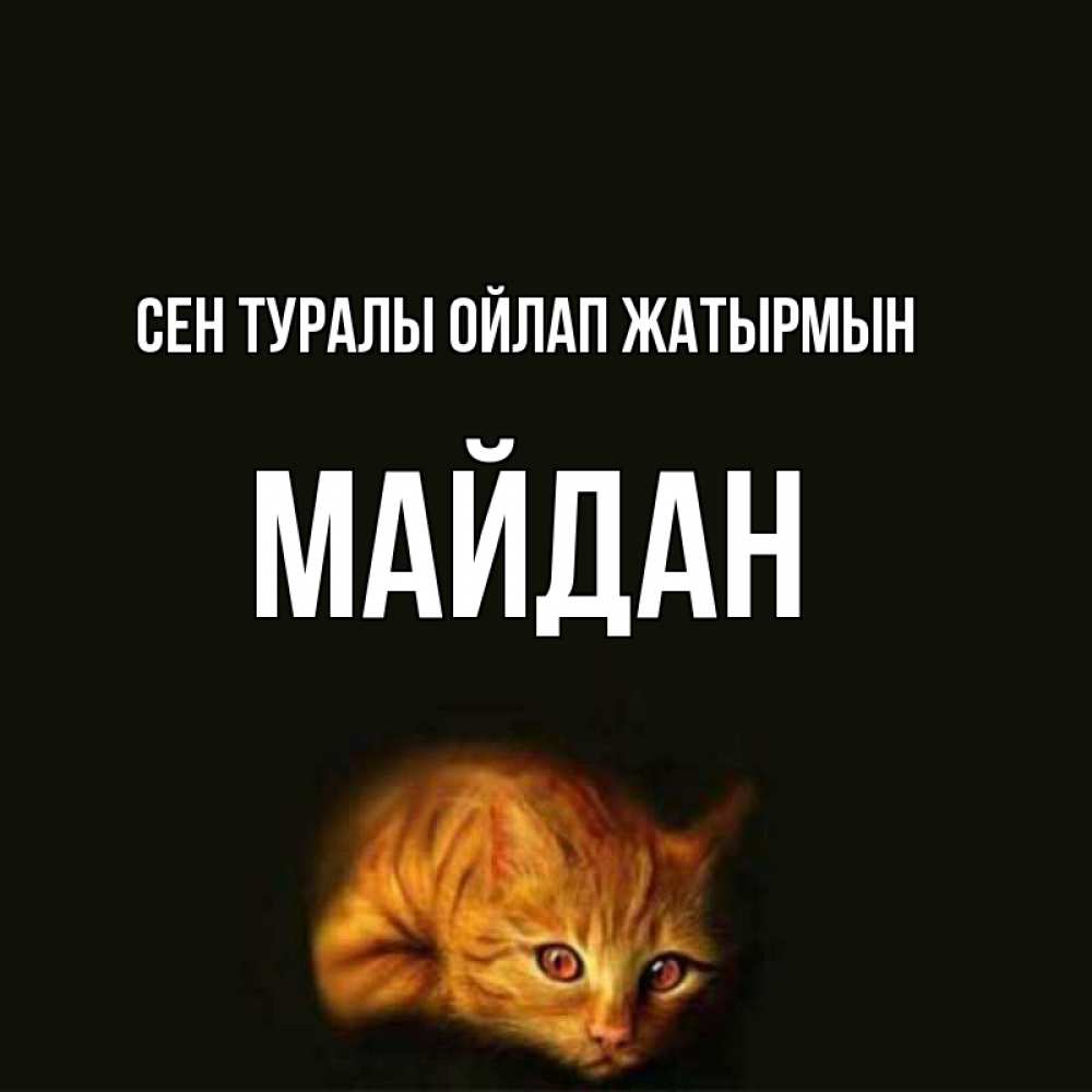 Күн сайын ашық хат с именем, МАЙДАН Сен туралы ойлап жатырмын рыжий Онлайн тегін жүктеп алу тілектері бар керемет карта 