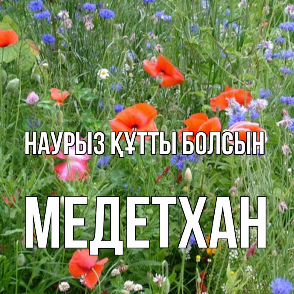 Күн сайын ашық хат с именем, МЕДЕТХАН Наурыз құтты болсын наурыз  4 Онлайн тегін жүктеп алу тілектері бар керемет карта 