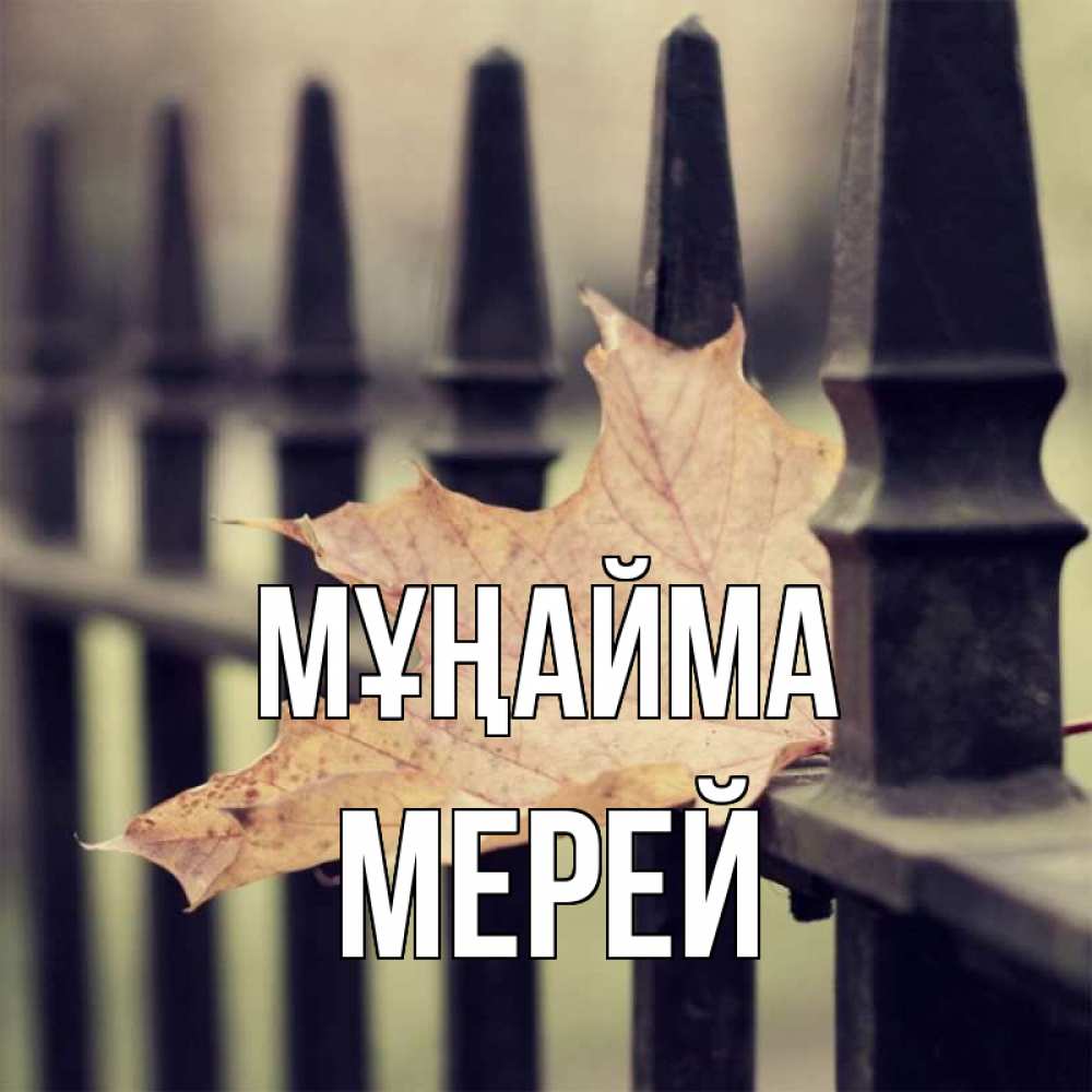 Күн сайын ашық хат с именем, МЕРЕЙ Мұңайма лист клена Онлайн тегін жүктеп алу тілектері бар керемет карта 