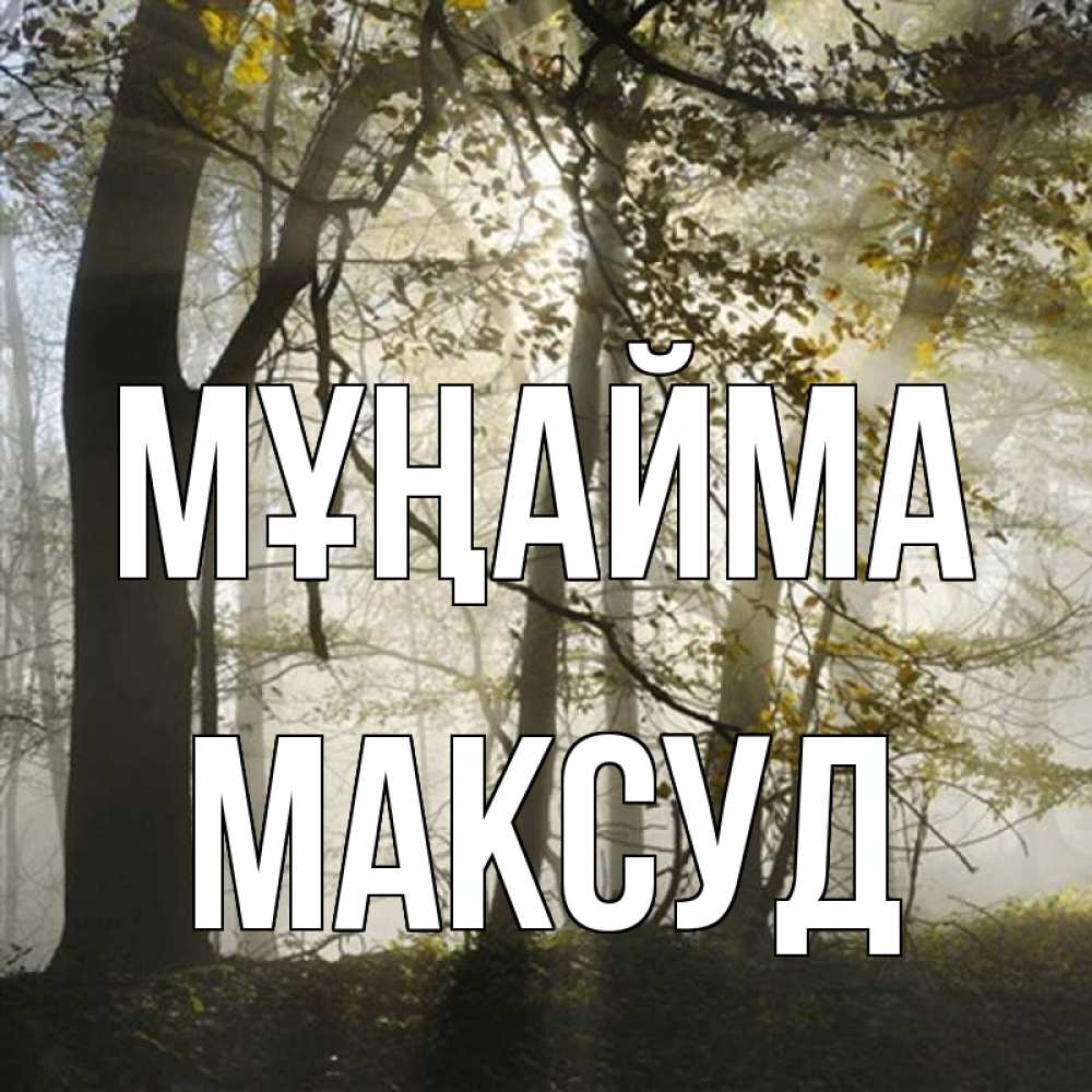 Күн сайын ашық хат с именем, Максуд Мұңайма лес и свет Онлайн тегін жүктеп алу тілектері бар керемет карта 
