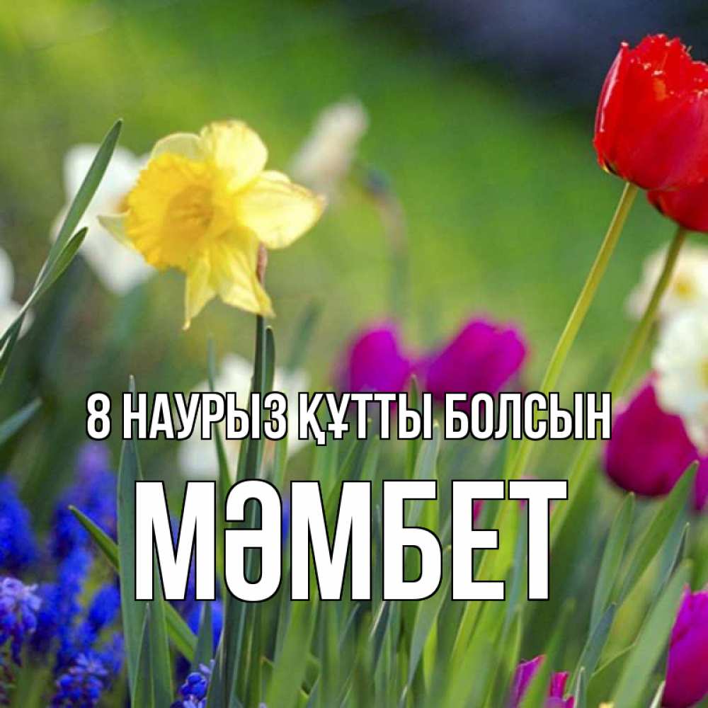 Күн сайын ашық хат с именем, МӘМБЕТ 8 наурыз құтты болсын международный женский день 3 Онлайн тегін жүктеп алу тілектері бар керемет карта 