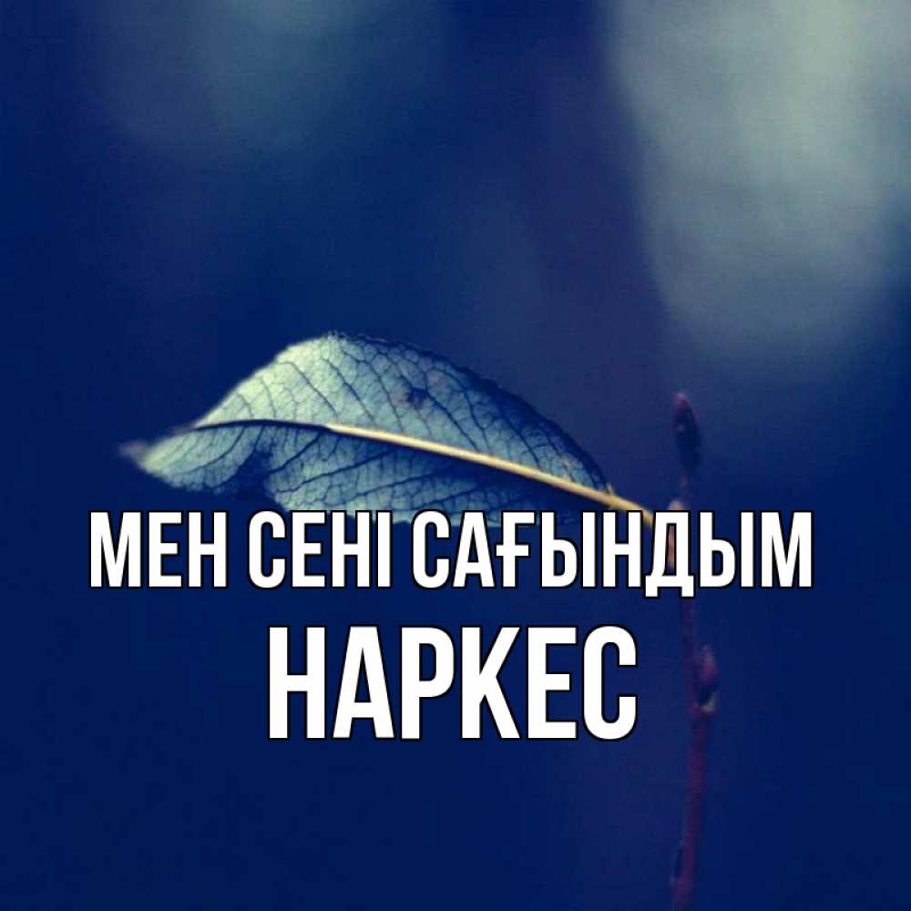Күн сайын ашық хат с именем, НАРКЕС Мен сені сағындым одна ветка 1 Онлайн тегін жүктеп алу тілектері бар керемет карта 