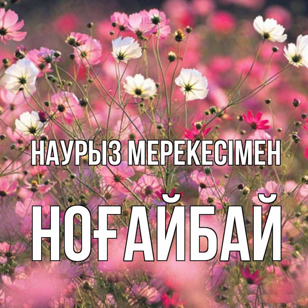 Күн сайын ашық хат с именем, НОҒАЙБАЙ Наурыз мерекесімен красиво 1 Онлайн тегін жүктеп алу тілектері бар керемет карта 