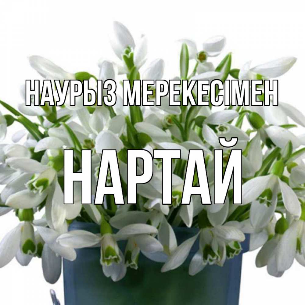 Күн сайын ашық хат с именем, Нартай Наурыз мерекесімен цветы к наурызу новый год в Казахстане Онлайн тегін жүктеп алу тілектері бар керемет карта 