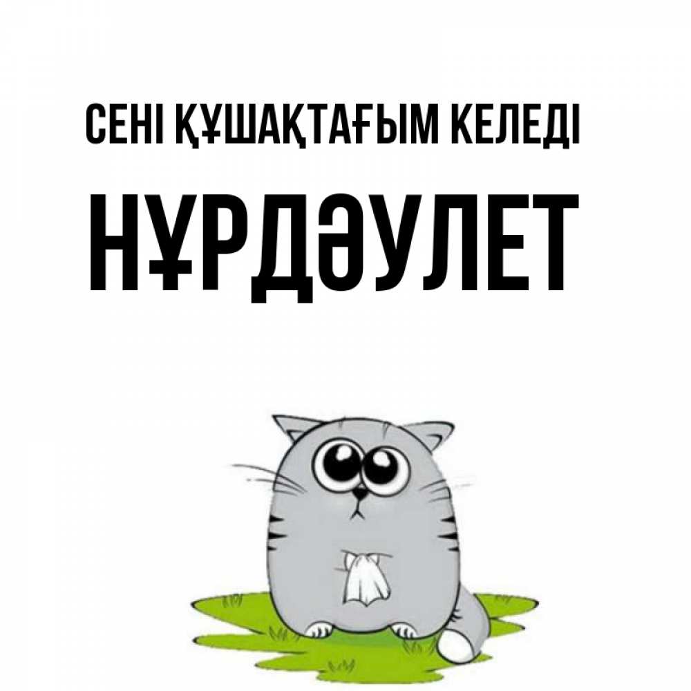 Күн сайын ашық хат с именем, НҰРДӘУЛЕТ сені құшақтағым келеді котик теребит платочек сидя на травке Онлайн тегін жүктеп алу тілектері бар керемет карта 