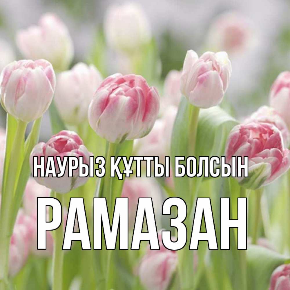 Күн сайын ашық хат с именем, РАМАЗАН Наурыз құтты болсын цветы Онлайн тегін жүктеп алу тілектері бар керемет карта 