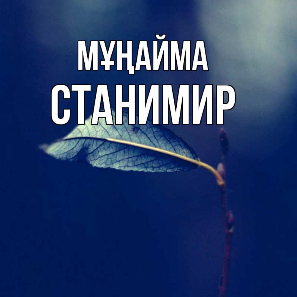 Күн сайын ашық хат с именем, Станимир Мұңайма растение Онлайн тегін жүктеп алу тілектері бар керемет карта 