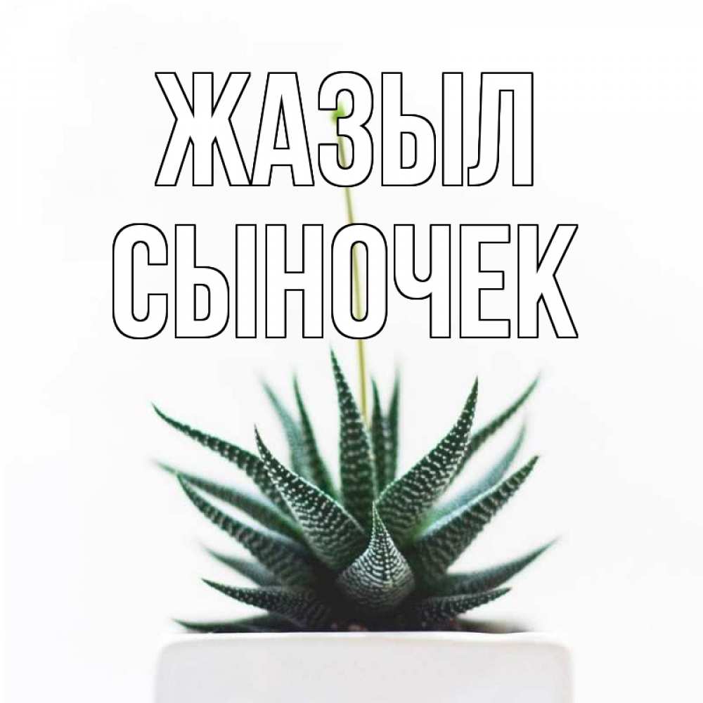 Күн сайын ашық хат с именем, Сыночек Жазыл короче это непонятная колючка Онлайн тегін жүктеп алу тілектері бар керемет карта 
