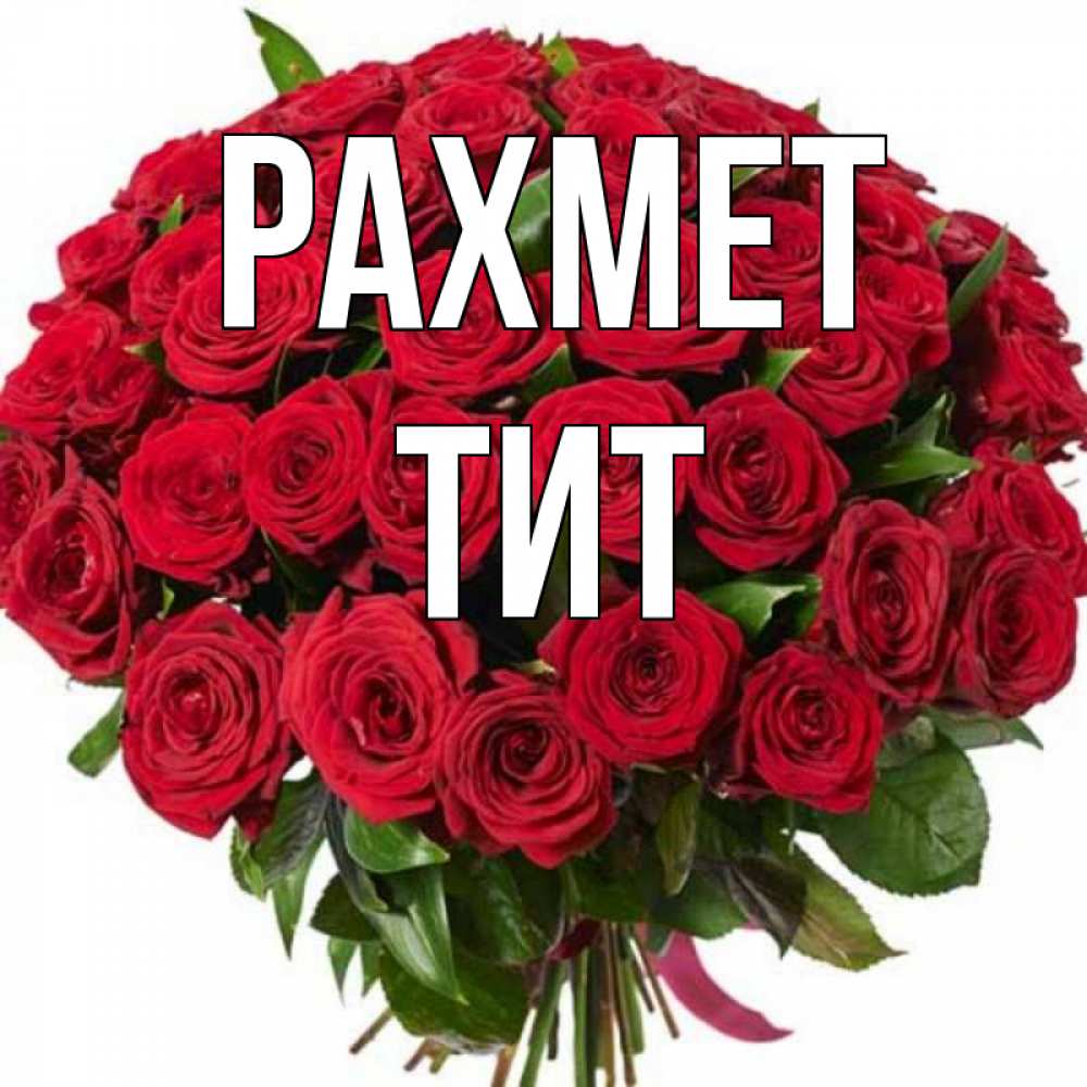 Күн сайын ашық хат с именем, Тит рахмет букет красных роз Онлайн тегін жүктеп алу тілектері бар керемет карта 