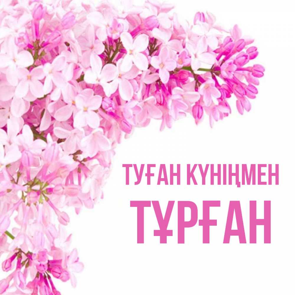 Күн сайын ашық хат с именем, ТҰРҒАН Туған күніңмен Сирень на белом фоне Онлайн тегін жүктеп алу тілектері бар керемет карта 