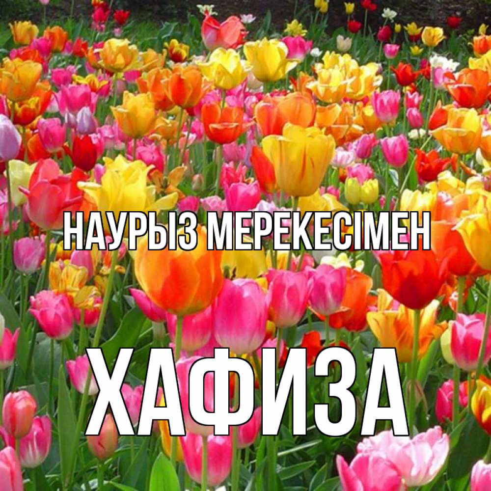 Күн сайын ашық хат с именем, ХАФИЗА Наурыз мерекесімен праздник весны наурыз 4 Онлайн тегін жүктеп алу тілектері бар керемет карта 