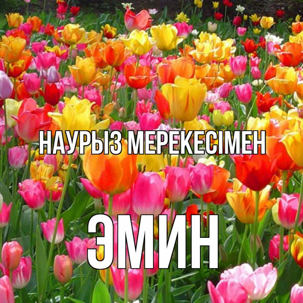 Күн сайын ашық хат с именем, Эмин Наурыз мерекесімен праздник весны наурыз 4 Онлайн тегін жүктеп алу тілектері бар керемет карта 