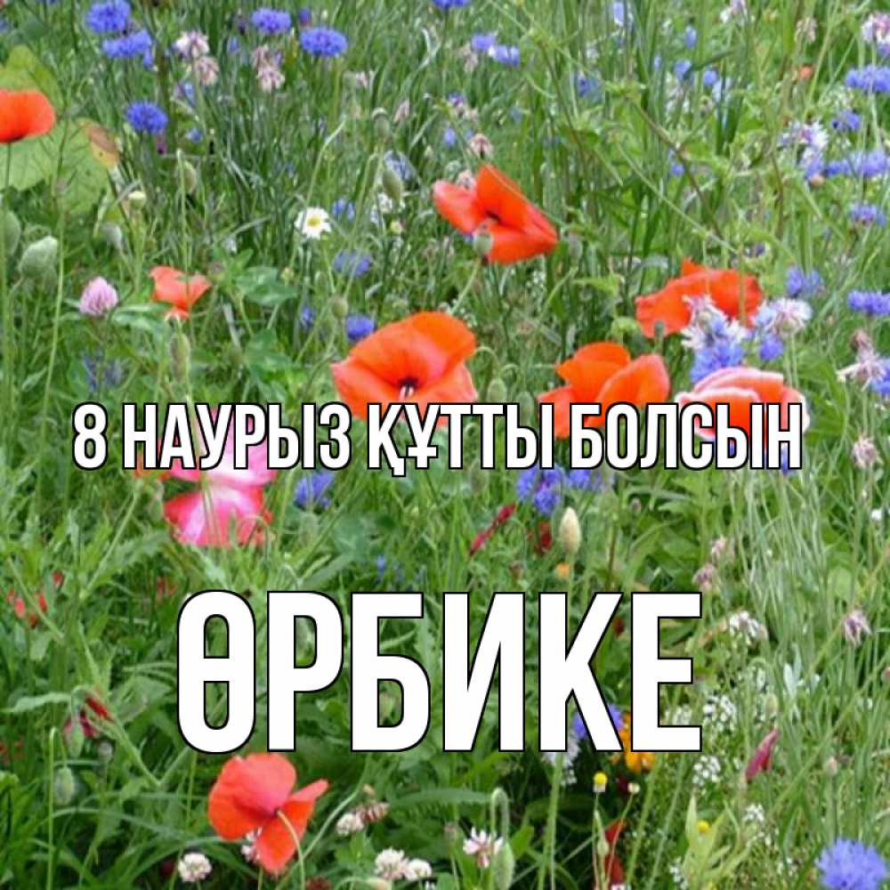 Күн сайын ашық хат с именем, ӨРБИКЕ 8 наурыз құтты болсын международный женский день 4 Онлайн тегін жүктеп алу тілектері бар керемет карта 