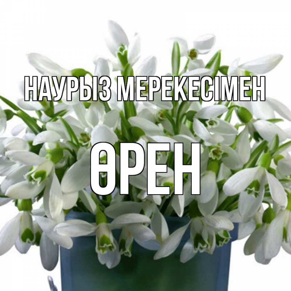 Күн сайын ашық хат с именем, ӨРЕН Наурыз мерекесімен цветы к наурызу новый год в Казахстане Онлайн тегін жүктеп алу тілектері бар керемет карта 