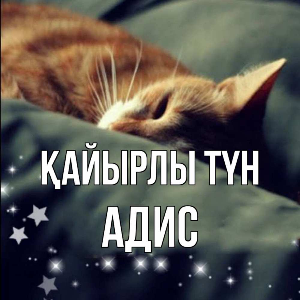 Күн сайын ашық хат с именем, Адис Қайырлы түн кроватка Онлайн тегін жүктеп алу тілектері бар керемет карта 