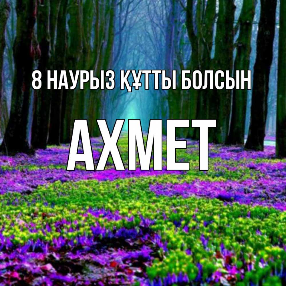 Күн сайын ашық хат с именем, Ахмет 8 наурыз құтты болсын фиолетовые цветы в лесу 1 Онлайн тегін жүктеп алу тілектері бар керемет карта 
