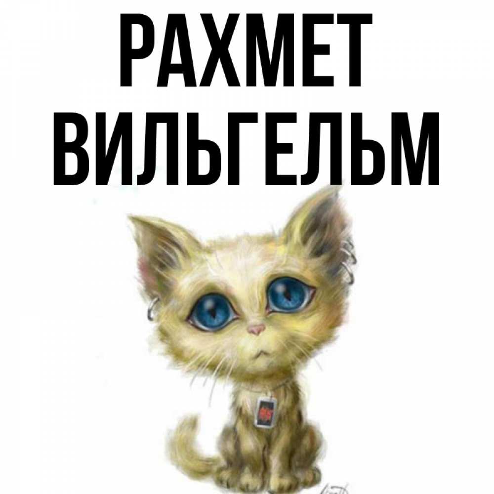 Күн сайын ашық хат с именем, Вильгельм рахмет рисованный кот благодарит вас Онлайн тегін жүктеп алу тілектері бар керемет карта 