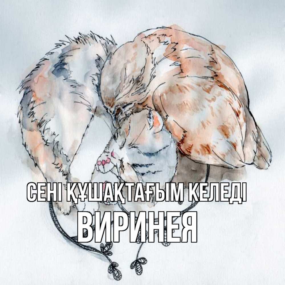 Күн сайын ашық хат с именем, Виринея сені құшақтағым келеді можно быть вместе даже когда очень разные Онлайн тегін жүктеп алу тілектері бар керемет карта 