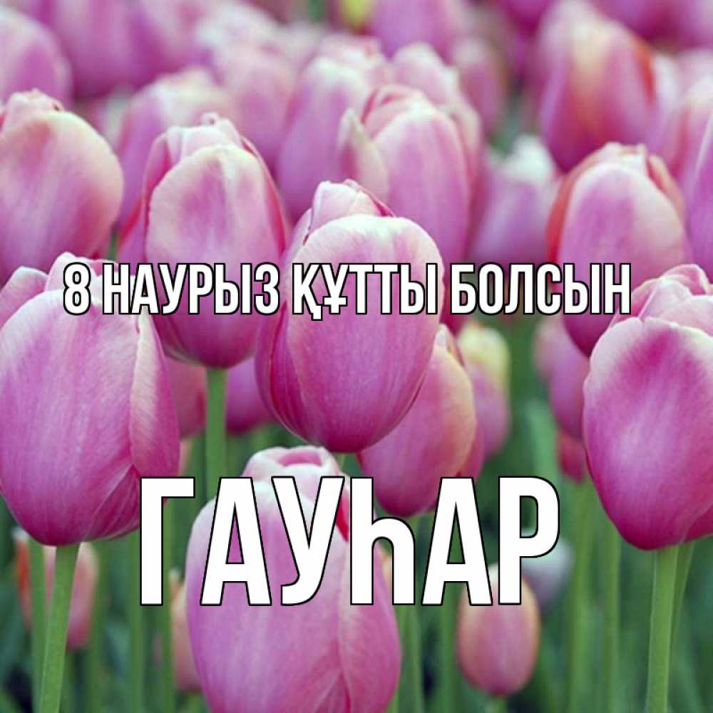 Күн сайын ашық хат с именем, Гауһар 8 наурыз құтты болсын на международный женский день 3 Онлайн тегін жүктеп алу тілектері бар керемет карта 