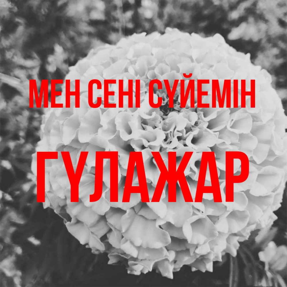 Күн сайын ашық хат с именем, ГҮЛАЖАР Мен сені сүйемін подпись Онлайн тегін жүктеп алу тілектері бар керемет карта 